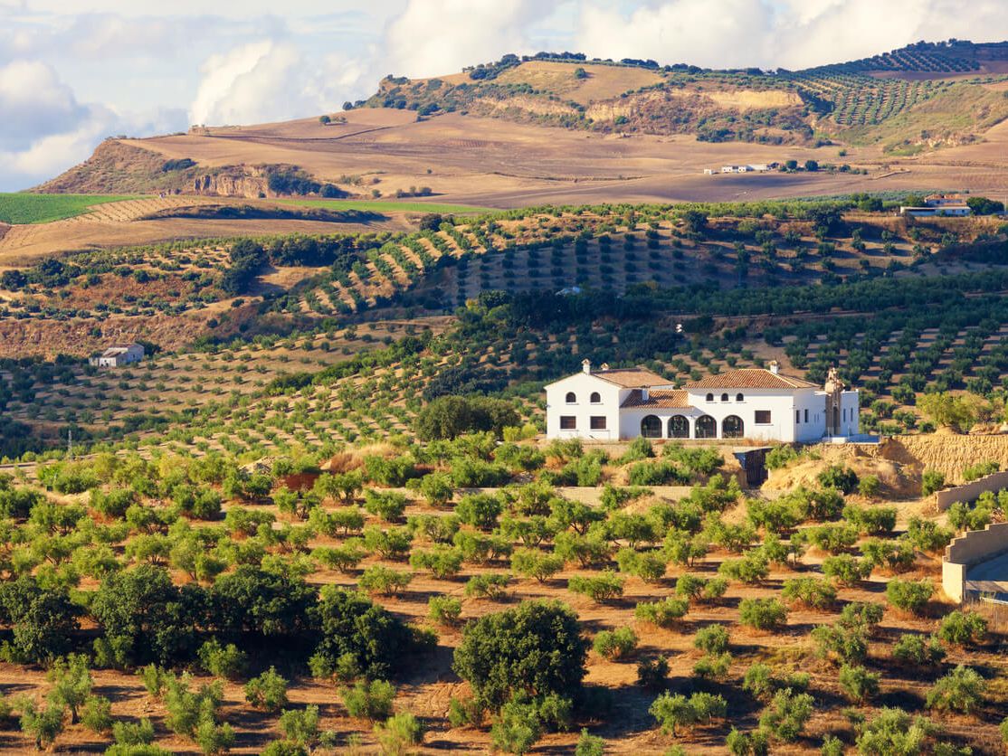 IBI in Spanje: de jaarlijkse belasting op je huis en grond